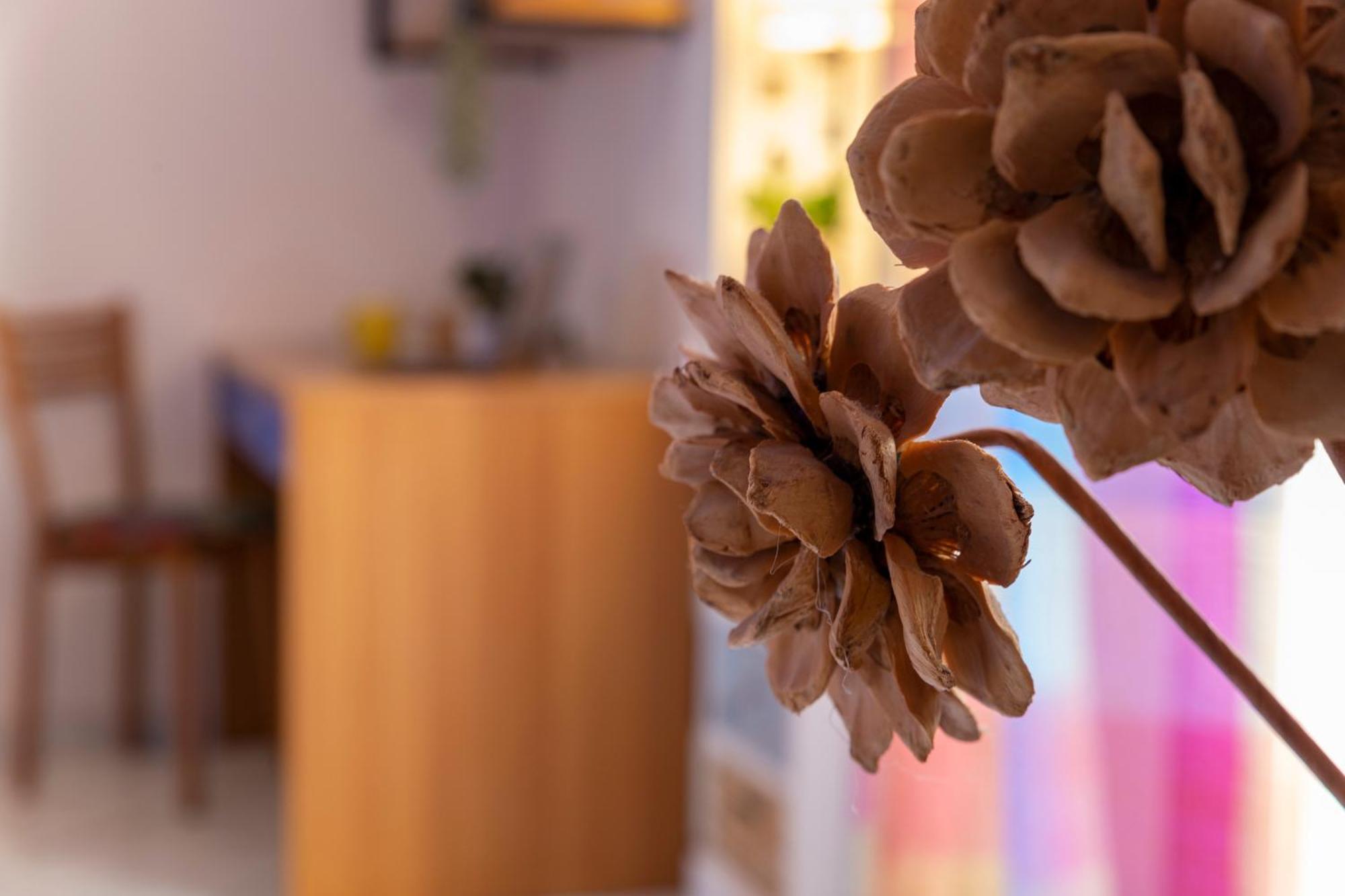 Apartmán Casa Mati Alghero Exteriér fotografie